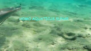 Окурджалар, остров и окрестности подводный дайвинг и разведка местной рыбы