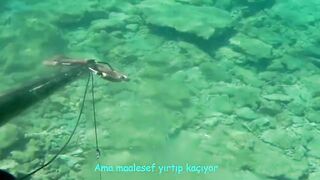 Окурджалар, остров и окрестности подводный дайвинг и разведка местной рыбы