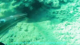 Окурджалар, остров и окрестности подводный дайвинг и разведка местной рыбы