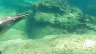 Окурджалар, остров и окрестности подводный дайвинг и разведка местной рыбы