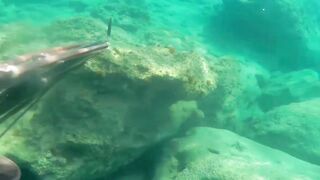 Окурджалар, остров и окрестности подводный дайвинг и разведка местной рыбы