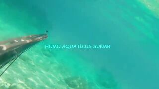 Окурджалар, остров и окрестности подводный дайвинг и разведка местной рыбы