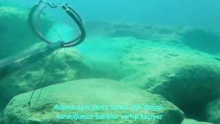 Окурджалар, остров и окрестности подводный дайвинг и разведка местной рыбы