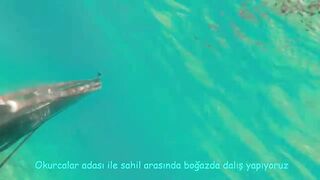 Окурджалар, остров и окрестности подводный дайвинг и разведка местной рыбы