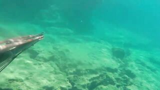 Окурджалар, остров и окрестности подводный дайвинг и разведка местной рыбы