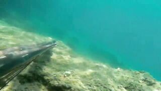 Окурджалар, остров и окрестности подводный дайвинг и разведка местной рыбы