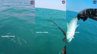 Deep sea jigging в Катаре тяжёлая морская рыбалка на глубине