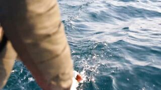 Рыбалка в Катаре с Fahd Al Bushri от выхода в море до свежей рыбы на семейном столе