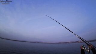 Çandarlı Limanı: экшеновый морской выход lambuka sinarit меркан и чепура в одном улове