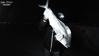 Çandarlı Limanı: экшеновый морской выход lambuka sinarit меркан и чепура в одном улове