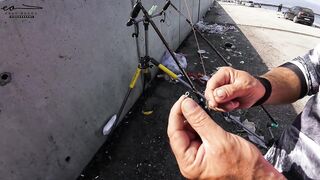 Çandarlı Limanı: экшеновый морской выход lambuka sinarit меркан и чепура в одном улове