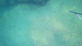 Alanya весёлая рыбалка на мелководье лёгкая снасть и морская рыбка под ногами