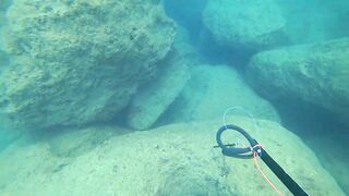 Alanya весёлая рыбалка на мелководье лёгкая снасть и морская рыбка под ногами