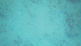 Alanya весёлая рыбалка на мелководье лёгкая снасть и морская рыбка под ногами