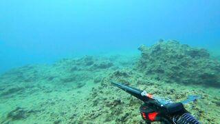 Alanya весёлая рыбалка на мелководье лёгкая снасть и морская рыбка под ногами