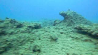 Alanya весёлая рыбалка на мелководье лёгкая снасть и морская рыбка под ногами