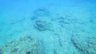 Alanya весёлая рыбалка на мелководье лёгкая снасть и морская рыбка под ногами