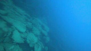 Alanya весёлая рыбалка на мелководье лёгкая снасть и морская рыбка под ногами