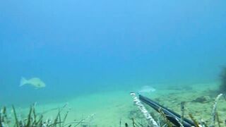 Alanya весёлая рыбалка на мелководье лёгкая снасть и морская рыбка под ногами