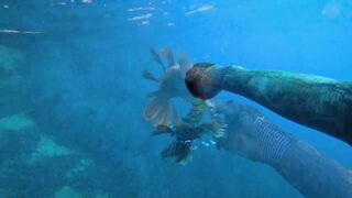 Alanya весёлая рыбалка на мелководье лёгкая снасть и морская рыбка под ногами