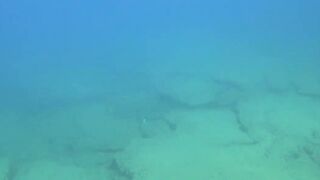 Alanya весёлая рыбалка на мелководье лёгкая снасть и морская рыбка под ногами