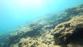 Alanya весёлая рыбалка на мелководье лёгкая снасть и морская рыбка под ногами