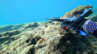 Alanya весёлая рыбалка на мелководье лёгкая снасть и морская рыбка под ногами