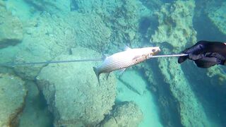 Alanya весёлая рыбалка на мелководье лёгкая снасть и морская рыбка под ногами