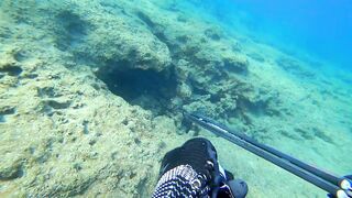 Alanya весёлая рыбалка на мелководье лёгкая снасть и морская рыбка под ногами