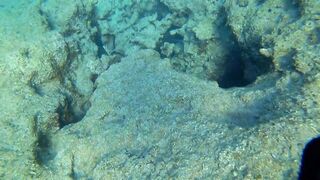 Alanya весёлая рыбалка на мелководье лёгкая снасть и морская рыбка под ногами