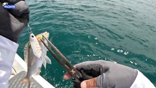 Морская рыбалка на юге Катара семейный выезд на катере по заливу