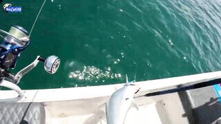 Морская рыбалка на юге Катара семейный выезд на катере по заливу