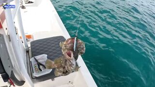 Морская рыбалка на юге Катара семейный выезд на катере по заливу