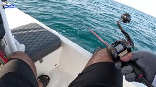 Морская рыбалка на юге Катара семейный выезд на катере по заливу