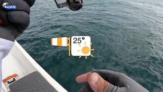 Морская рыбалка на юге Катара семейный выезд на катере по заливу