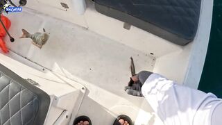 Морская рыбалка на юге Катара семейный выезд на катере по заливу