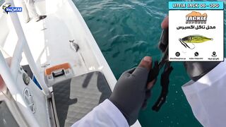 Морская рыбалка на юге Катара семейный выезд на катере по заливу