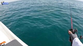 Морская рыбалка на юге Катара семейный выезд на катере по заливу