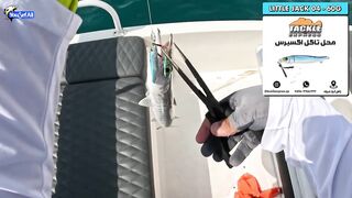 Морская рыбалка на юге Катара семейный выезд на катере по заливу