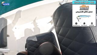 Морская рыбалка на юге Катара семейный выезд на катере по заливу