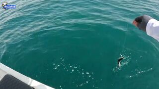 Морская рыбалка на юге Катара семейный выезд на катере по заливу