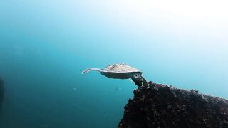 Fishing in Qatar настоящая морская рыбалка в Персидском заливе жара солнце и сильная волна
