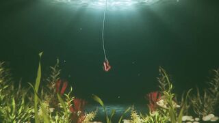 На этом месте у берега легко поймать много рыбы здесь ходит yazılı orkinos