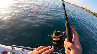 На этом месте у берега легко поймать много рыбы здесь ходит yazılı orkinos