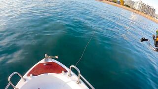 На этом месте у берега легко поймать много рыбы здесь ходит yazılı orkinos