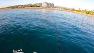 На этом месте у берега легко поймать много рыбы здесь ходит yazılı orkinos