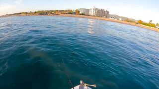 На этом месте у берега легко поймать много рыбы здесь ходит yazılı orkinos
