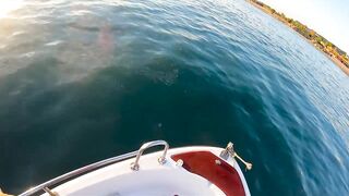 На этом месте у берега легко поймать много рыбы здесь ходит yazılı orkinos