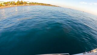 На этом месте у берега легко поймать много рыбы здесь ходит yazılı orkinos