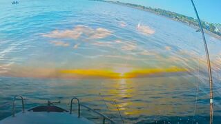 На этом месте у берега легко поймать много рыбы здесь ходит yazılı orkinos